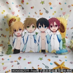 Free Anime pillow (40*60CM)