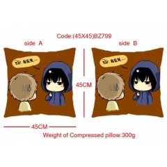 Tomb notes Anime Pillow(Two Side)