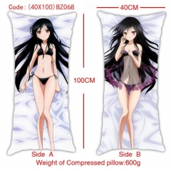 Accel World Anime Pillow(Two face)