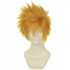 Kingdom Hearts Anime Wig