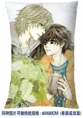Super loves Anime Pillow 40*60CM （two-sided）