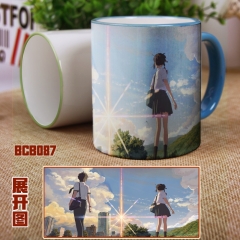 Your Name Anime Cup