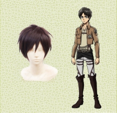 Attack on Titan Anime Wig（2sets）