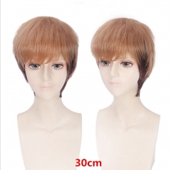 Attack on Titan Cosplay Anime Wig