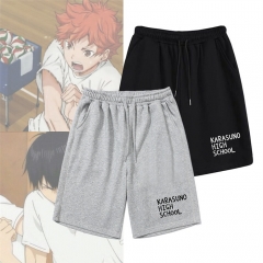 2 Styles Haikyuu Cartoon Anime Short Pants