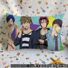 Free Anime pillow (40*60CM)