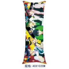 Free Anime Pillow 40*102CM （two-sided