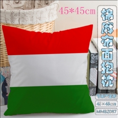 Hungarian flag Anime Pillow