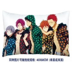 Free Anime Pillow (40*60CM)two-sided