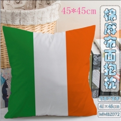 The Irish flag Anime Pillow