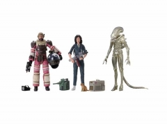 7inches NECA Alien vs Predator Movie figure Plastic Statue Anime PVC Action Figure Toy Set