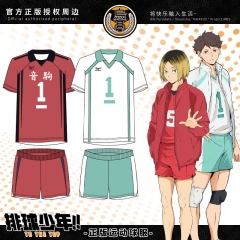 4 Styles Haikyuu!! Cartoon Unisex For Adult Anime T-shirts+Short Pants (Set)