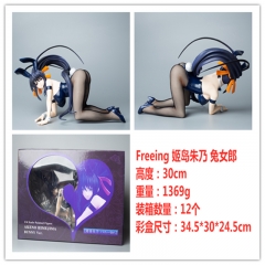 30cm High School D×D Himejima Akeno Cosplay Cartoon Character Collectible Model Toy Anime PVC Figure